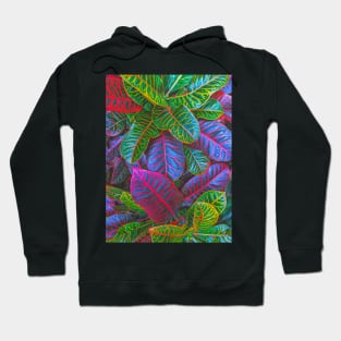 Stylized Crotons Plant Hoodie